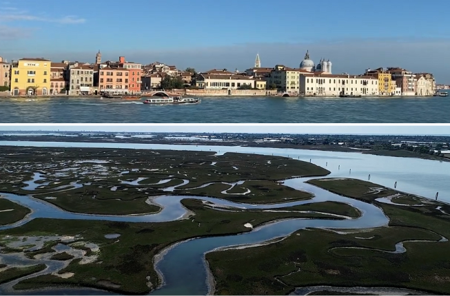 Collegamento a Venice Lagoon: the strong erosive effects attributed to anthropogenic processes