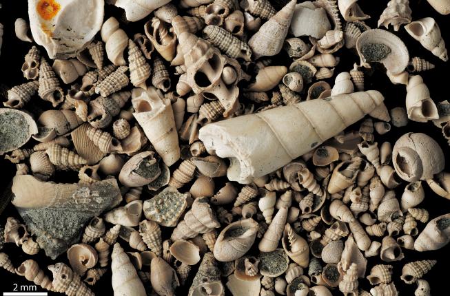 Collegamento a Easter Holidays Closing