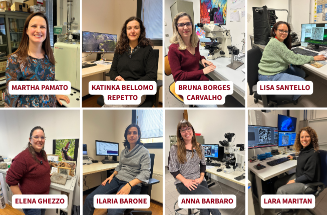 Collegamento a Women in Geosciences: Celebrating the International Day of Women and Girls in Science