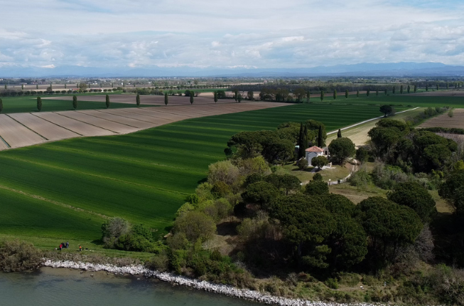 Collegamento a Dune eoliche tra le più estese d'Italia tra Aquileia e la laguna di Grado